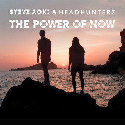 Steve Aoki & Headhunterz - The Power Of Now