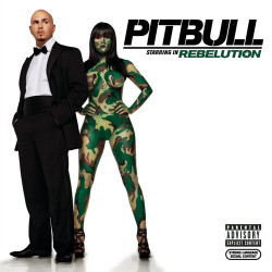 Pitbull - Shut It Down