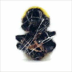 Deadbeat - Ain't no More Flowers