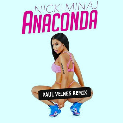 Nicki Minaj - Anaconda (Paul Velnes Remix)