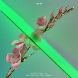 Flume feat. Kai - Never Be Like You (Disclosure mix)