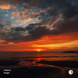 Farlight - Птица (Haycat Remix)