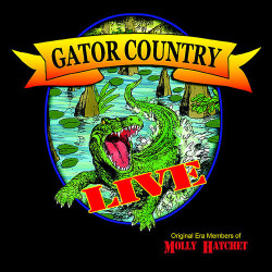 Gator Country - It's All Over Now