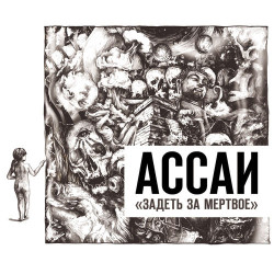 Ассаи - Спутник