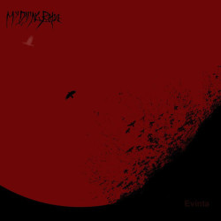 My Dying Bride - The Distance, Busy With Shadows