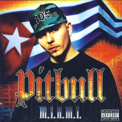 Pitbul - Culo