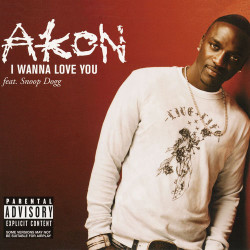 Akon & Snoop Dogg - I Wanna Love You
