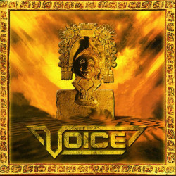 Voice - Doubtful Times