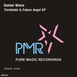 Damian Wasse - Future Angel