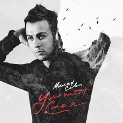 Милан Савич - Улетит Стая