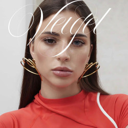Вячеслав Синчук - Прощай
