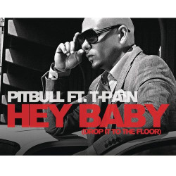 Pitbull - Hey Baby (Feat. T-Pain)