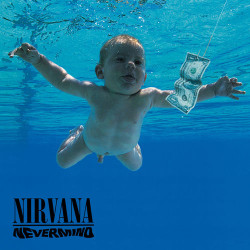 Nirvana - In Bloom