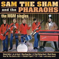 Sam The Sham - Wooly Bully