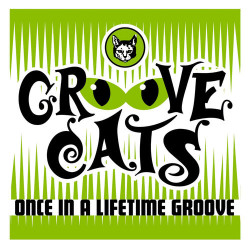 Groove Cats - Once in A Lifetime Groove