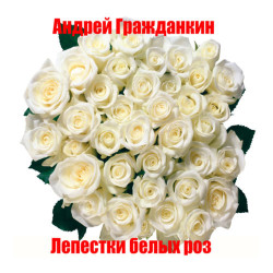 Валенсия и Андрей Гражданкин - Лепестки Белых Роз