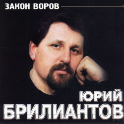 Юрий Востров - Опусти, брат, кулак