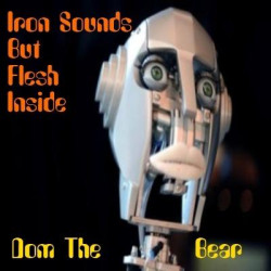 Dom The Bear - Iron sounds but flesh inside