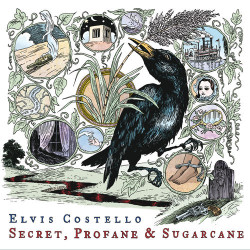 Elvis Costello - She