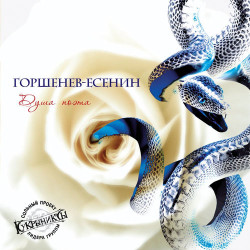 Небо без звёзд - Дорогая