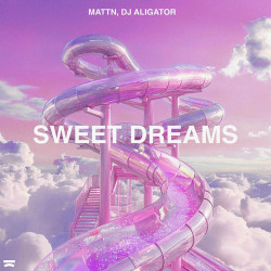 Dj Aligator - Im Coming Home (feat. M.Esfahani)