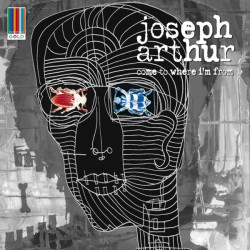 Joseph Arthur - In the Sun