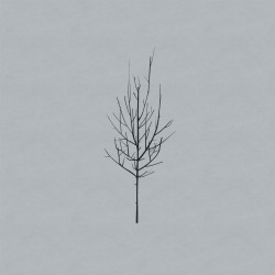 Low   - Gentle