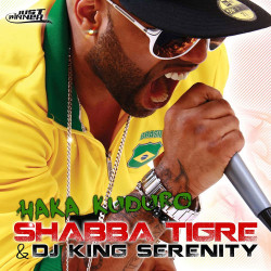 Sander Stone - Serenity Club