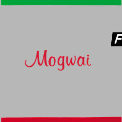 Moguai - Kixs