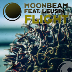 Moonbeam Feat. Leusin - Flight