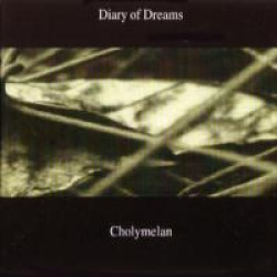 Diary Of Dreams - And Silence Still Remains