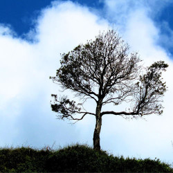 Melancholy - Love Song