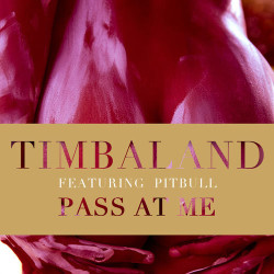 Timbaland feat. Pitbull & Wisin & Yandel - Pass At Me
