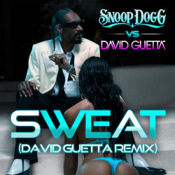 Snoop Dogg - Wet (Sweat) (David Guetta Remix)