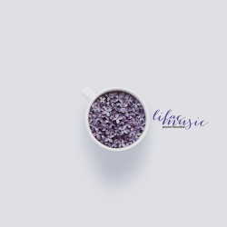 Pianochocolate - Summer