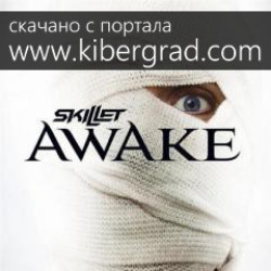 Skillet - Hero