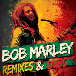 Bob Marley - Sun Is Shining (feat. Funkstar de Luxe)