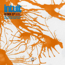 Mr. RK - Planet Birth