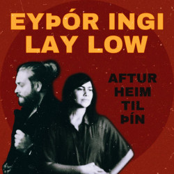 Sigurjon's Friends - Aftur Heim
