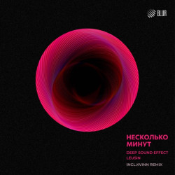 Александр Шапиро - Несколько минут