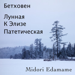 Бетховен - Лунная Соната