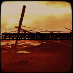 Фейхоа - Снаружи