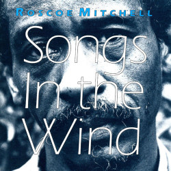 Andemund Orchestra - Purely Windy Songs
